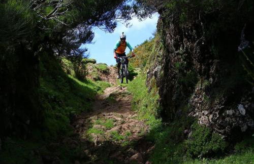 Casa Mia, a Dream Spot With Heated Pool - Photo 41