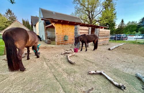 bei den Hundertelfen - Foto 22