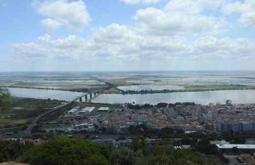 the writer's neighbor I - Foto 10