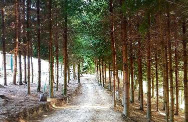 Alpakowy raj - Foto 38