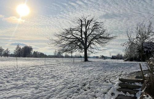 Ruhiges wohnen mit Bergblick - Foto 17