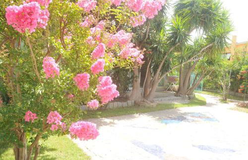 Very Cozy, Comfortable "lanthana" Villa on 2 Floors, Independent - Foto 104