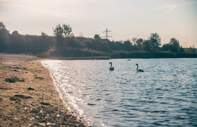 Europarcs de Kraaijenbergse Plassen - Foto 69