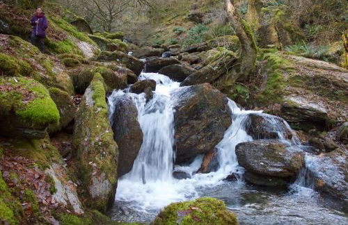 Maesyfelin Isaf Apartment - Foto 31
