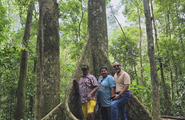 Visita guiada al bosque de Tijuca para grupos pequeños - Foto 28