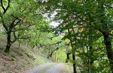 Chateau appartement tussen Mont Ventoux en Luberon - Foto 37