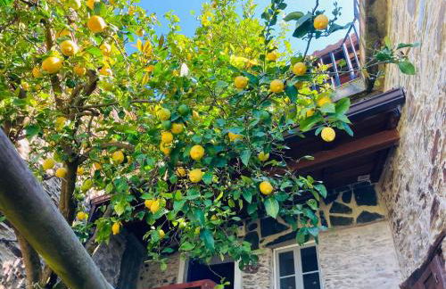 Casa do Ferreiro - Bocado Arganil - Foto 38