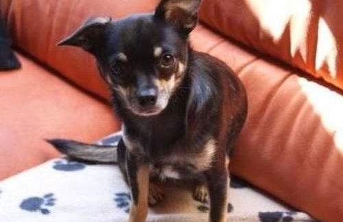 Apartment FeWo C-46 by Interhome - Foto 35