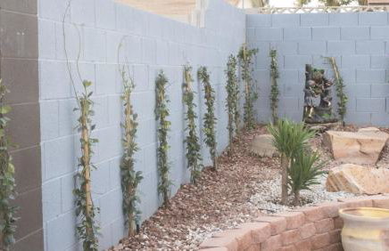 Heated Salt Pool, BBQ, Movie Projector, Stereo, Billiards Table, Arcade Game, Darts - Stone Sanctuary NW at Childrens Memorial Park, Pool Heat Optional - Foto 47