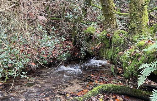 Rural, Secure Garden, Woodland Walks, 23 min to beach - Foto 33