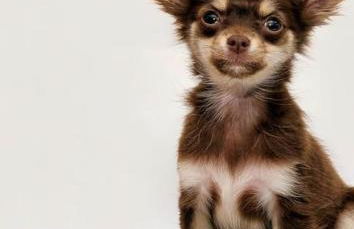 VILLA NOUNOU - Photo 29