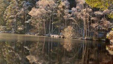 Perfect for country lovers - Foto 4