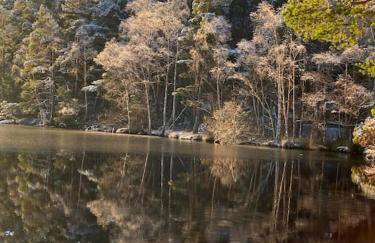 Perfect for country lovers - Foto 4