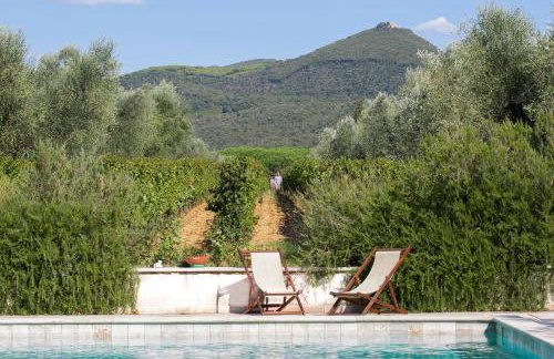 Agriturismo Tra gli Ulivi, Chiappini Winery - Photo 62