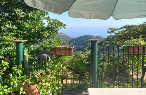 Cinque Terre & Portofino Lodge-Dependance Bracco - Foto 27