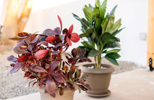 Villa Eleni - Foto 51