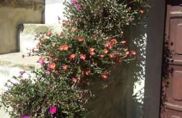 Fra Bosco e Cielo B&B - Foto 36