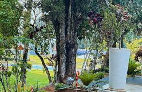 Chácara Sorocaba Piscina e Diversão Garantidal - Foto 17