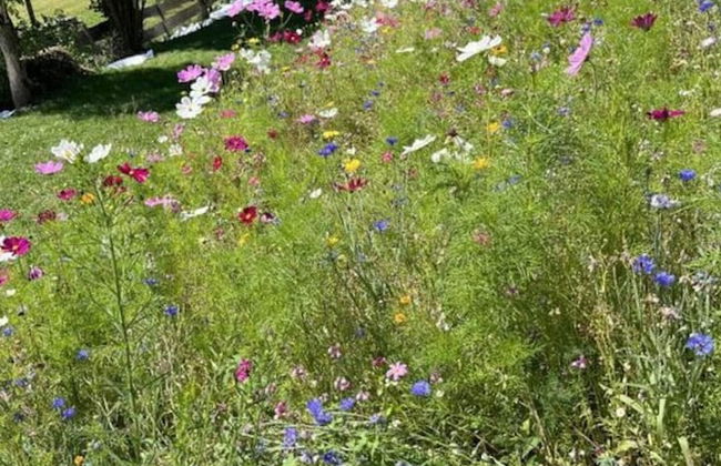 Hans in the Schusterhausl Apartment - Foto 20