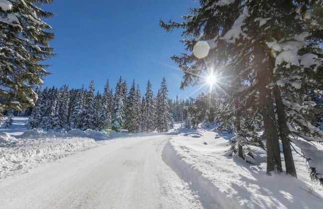 Chalet in Mittersill Near Ski Slopes - Foto 36