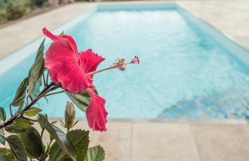 Refugios Parajuru - Villa Alegre - Photo 41