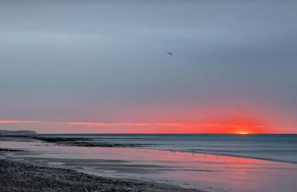 L'idylle - maison a la mer - Foto 18