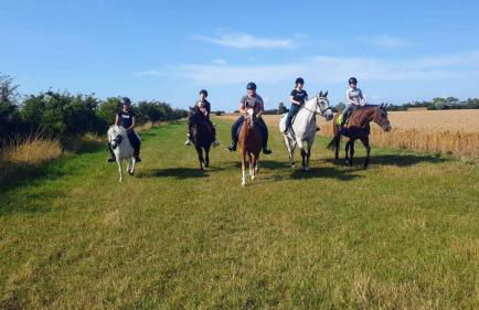 RosenGärtchen - Foto 18