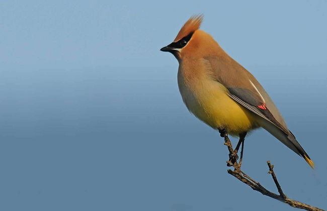 Harborsides Neighbor - Foto 33