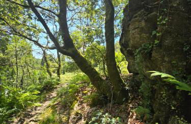 Campomuiños - Foto 28