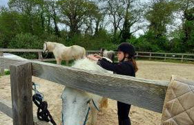 Cap Frehel gîte 4 personnnes - Foto 27