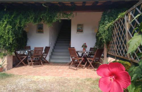 Podere San Pierino - Foto 16