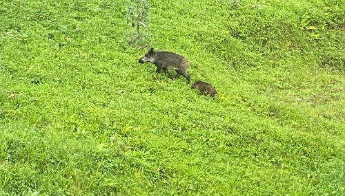 Caserío Ea - Foto 5