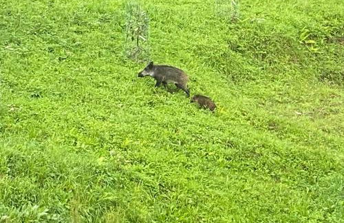 Caserío Ea - Foto 5