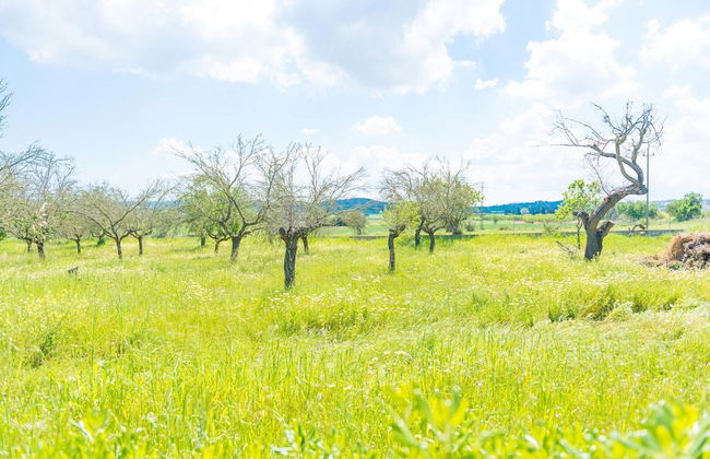 Casa Holganza in Maria de la Salut - Photo 31