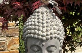 Gemütliche Wohnung in Ortsrandlage - Foto 34