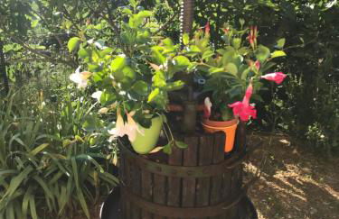 Appartamento Marina - Foto 21