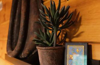 "The Lantern" Woodsy Cabin Experience w/ HotTub - Foto 12