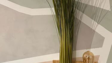 Appartement Savane entre Disney et Paris - Foto 3