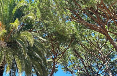 Grandpa's Nook - Torralta- Vista Mar - Photo 11