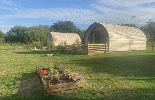 Beech Pod Cabin in Beautiful Surroundings Wrexham - Foto 16