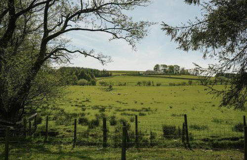 Shepherds Hut - Foto 14