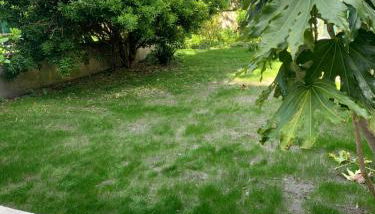 Le Jardin des Caps, proche mer et port - Foto 3