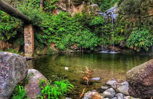 Casa da Cascata do Segredo - Photo 21