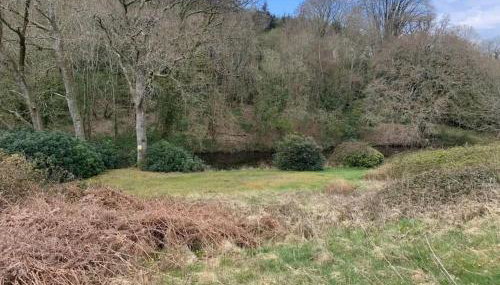 Jurassic Coast Holiday Home - Foto 5