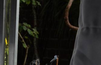 Casa de Mar Sagi - Foto 27