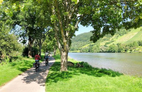 Ferienhaus Bullay - Foto 79