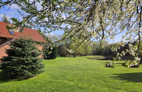 Orlik Mazury - Foto 42