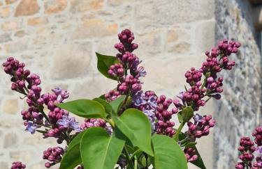 Villa Tona - Foto 42