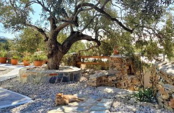 Aspra Chomata Villas - Foto 41