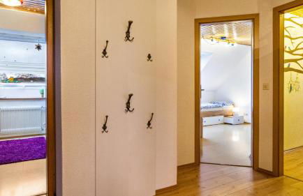 Ferienwohnungen Seeblick - Foto 34